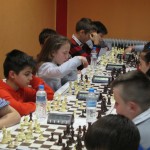 Συμμετοχές της ΕΣΣΘΧ